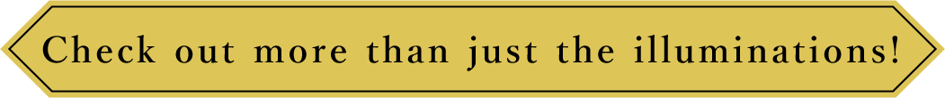 イルミネーション以外の情報もチェック！