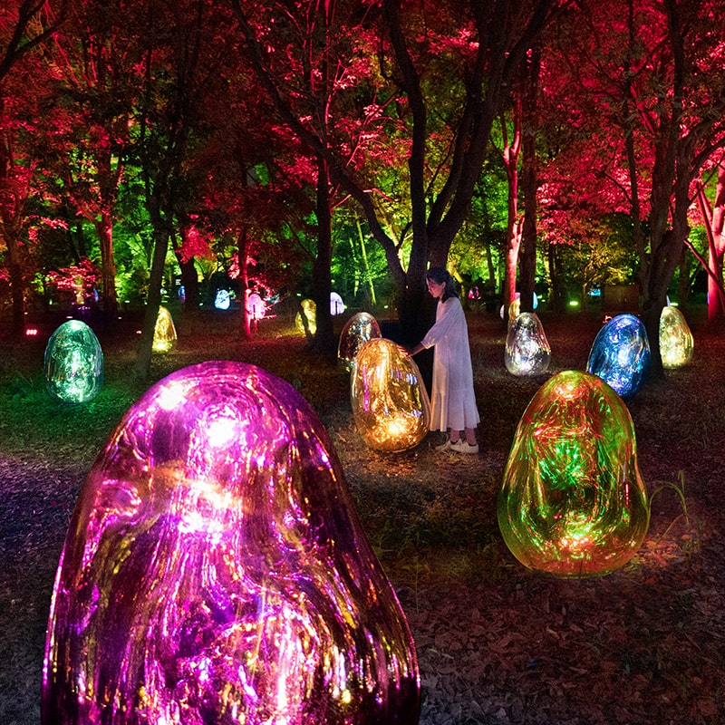 teamLab Botanical Garden Osaka