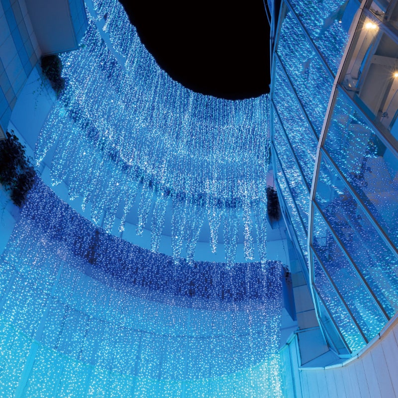 Dramatic Minami Illumination image