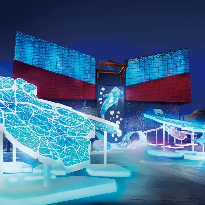 Chikko Bay Area Illumination image