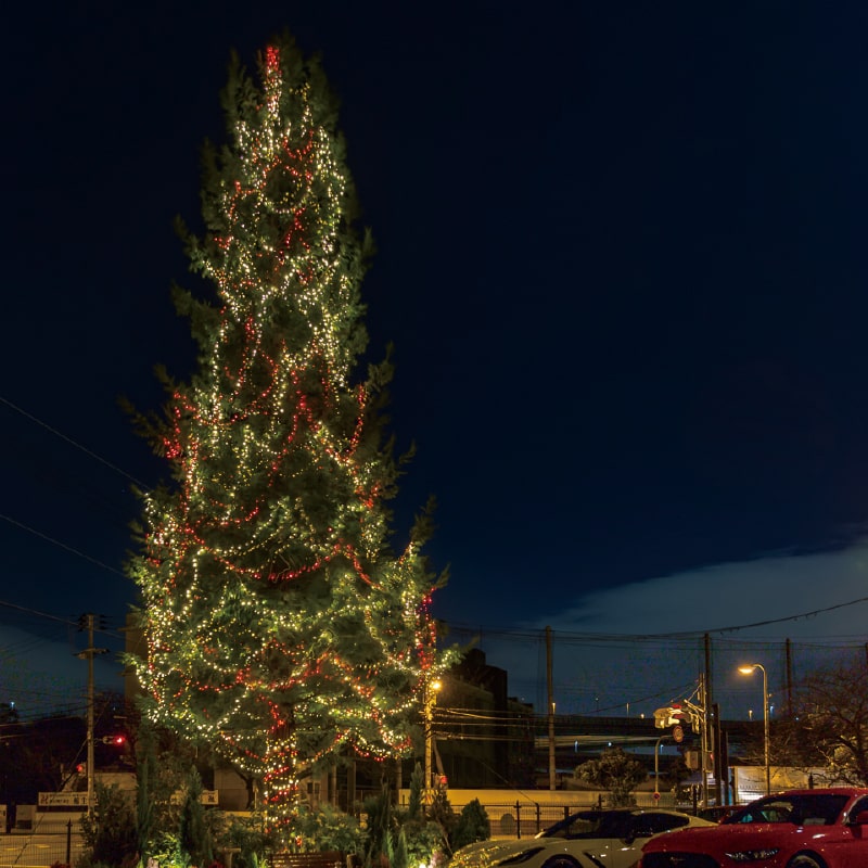 Chikko Bay & Tempozan Winter Illumination image