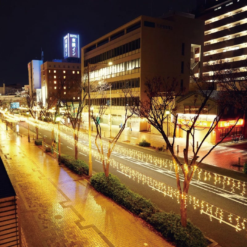 堺イルミネーション2025 画像