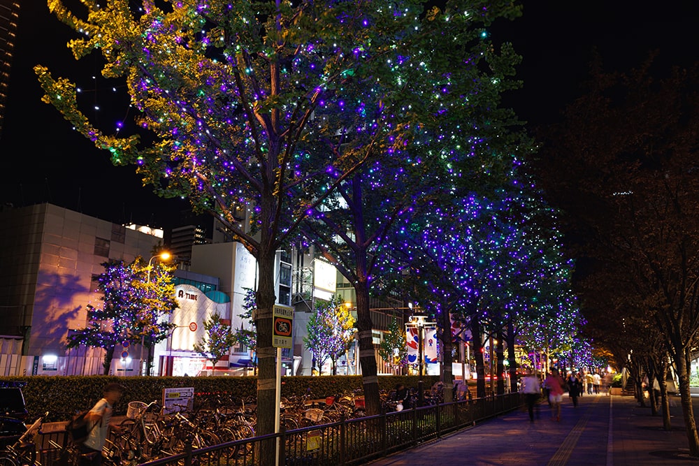 ブルー×ホワイト 画像