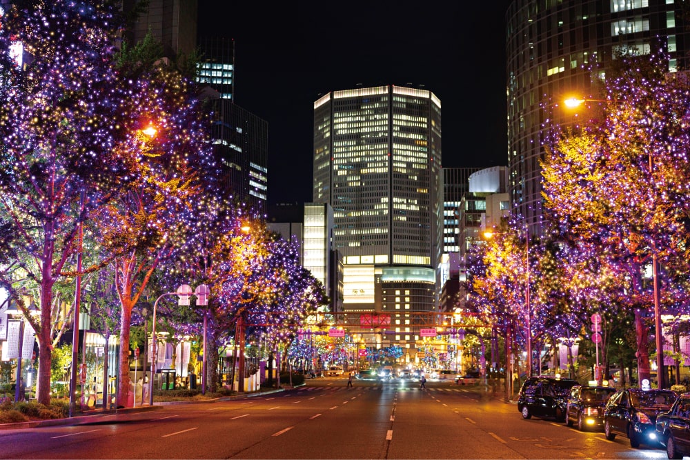 パープル×ゴールド 画像