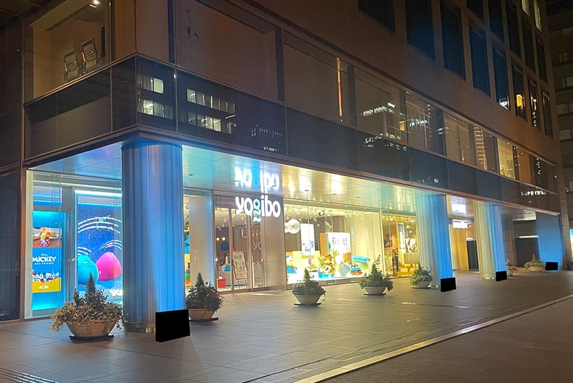 プログラム 画像