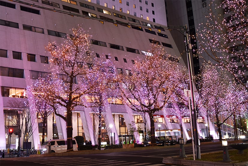 プログラム 画像