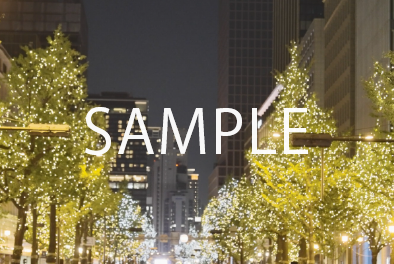 1. 開宴式の様子【御堂筋イルミネーション(シャンパンゴールド)】