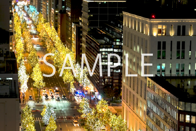 2. 御堂筋イルミネーション(シャンパンゴールド)