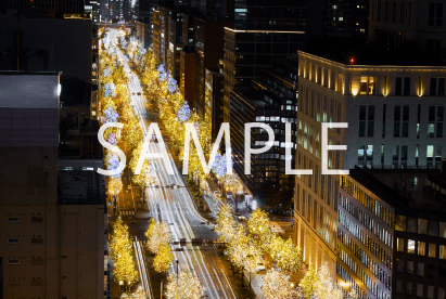 2. 御堂筋イルミネーション2025(イメージ)②