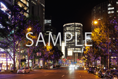 4. パープル×ゴールド_梅田新道~大江橋北詰(実際の様子)