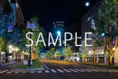 5. ホワイト×ゴールド_北浜3~伏見町3(実際の様子)