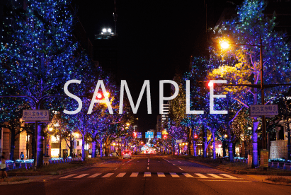 7. ミックス_久太郎町3~新橋北(実際の様子)