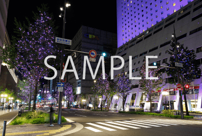 8. ピンク×5色ミックス_御堂筋鰻谷~御堂筋三津寺町(実際の様子)