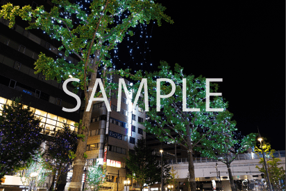 9. 5色ミックス×ホワイト_道頓堀橋南詰~難波西口(実際の様子)