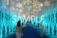 6. リバーサイドイルミネーション(イメージ)