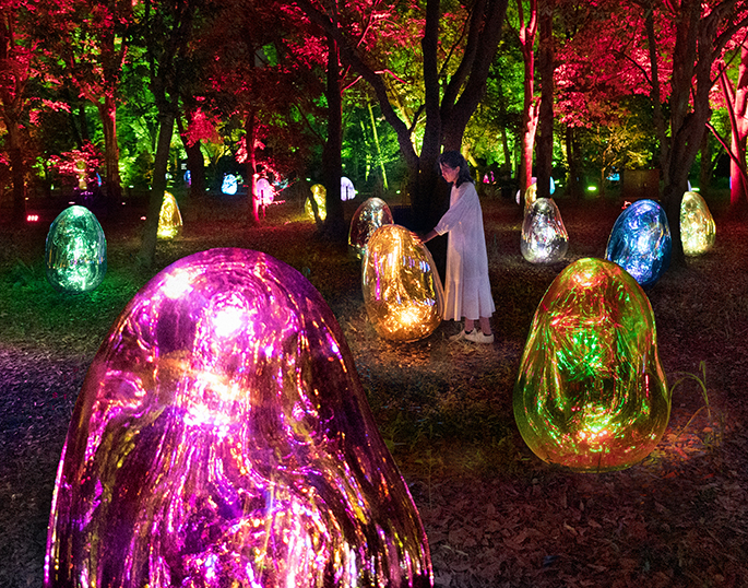 大阪光の饗宴 プログラム 画像