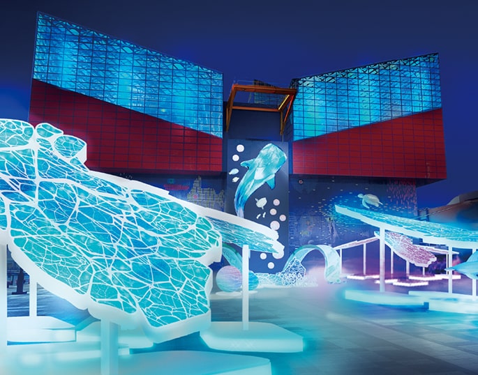 大阪光の饗宴 プログラム 画像