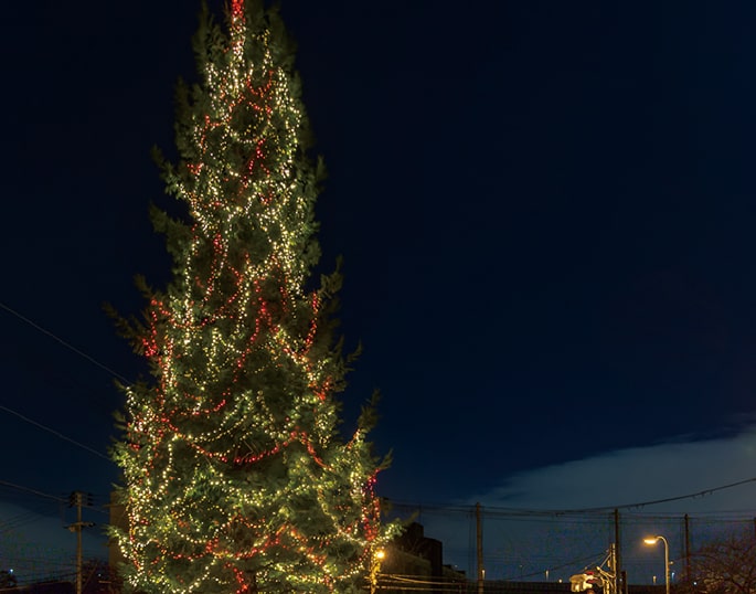 大阪光の饗宴 プログラム 画像